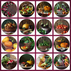 Collage from still lifes with vegetables and mushrooms.