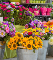 sunflowers in flower shop