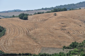 Paesaggi del Molise