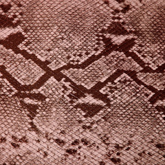 Snake skin