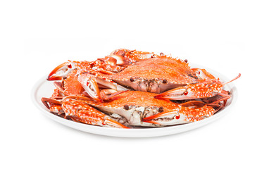 crab steamed seafood isolated on white background