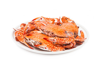 crab steamed seafood isolated on white background