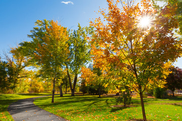 Early autumn in the park