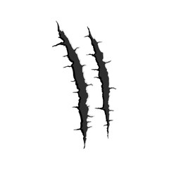 Two vertical trace of monster claw