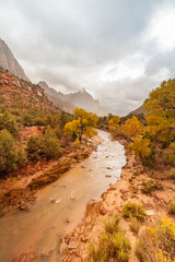 Obraz premium Virgin River and Watchman Zion N.P. in Fall