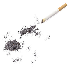 Ash shaped as Fiji and a cigarette.(series)