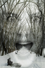 double exposure. portrait of a girl