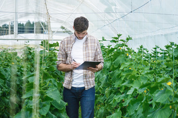 Guy with the tablet slowly inspect plants.