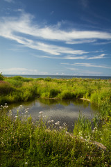 Baltic Sea in summer . beautiful scenery