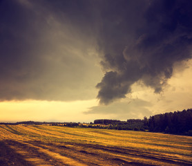 Fototapeta premium Dark Toned Landscape with Field and Gloomy Sky