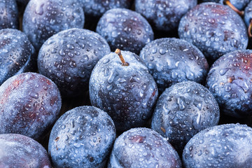 Fruits.