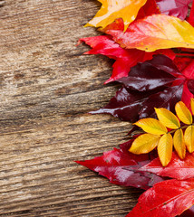 Naklejka na ściany i meble Fall leaves 