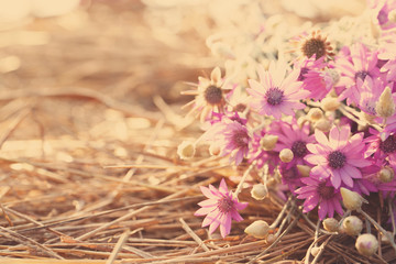 Beautiful wild flowers on straw with sunlight