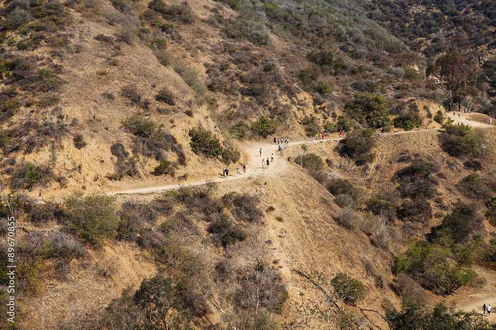 Wall mural view of natural in mountains, los angeles runyon canyon park