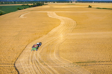 Combines and tractors working on the wheat field