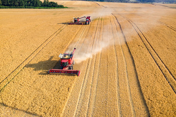Combines and tractors working on the wheat field