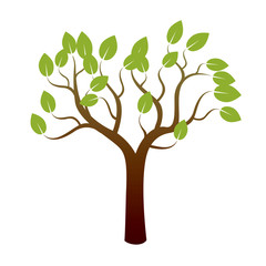 Color Tree and Green Leafs. Vector Illustration.