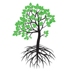 Summer Tree and Roots. Vector Illustration.