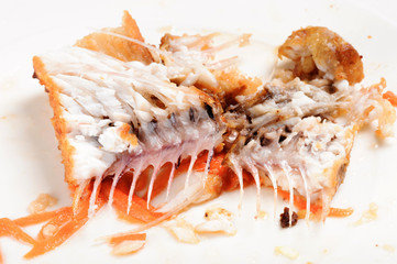 Obraz na płótnie Canvas Fry fish bone