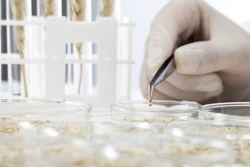 Obraz premium science