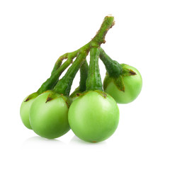 turkey berry isolated in white background