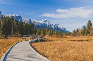 Autumn landscape of a boardwalk beside Policeman's Creek in Kananaskis