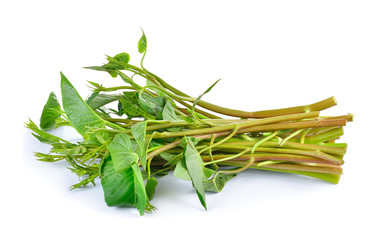 Fototapeta premium Water spinach , Morning Glory on white background