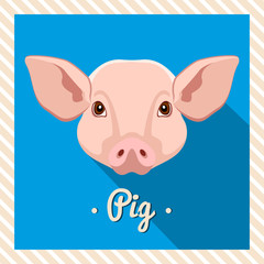 Vector portrait of a  pink pig. Symmetrical portraits of animals. Vector Illustration, greeting card, poster. Icon. Animal face. Font inscription. Image of a pig's face.