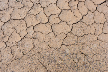 Crack soil on dry season