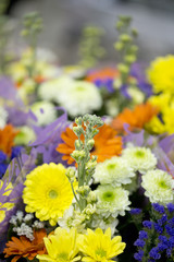 Colourful Flower Arrangement