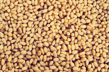 Pine nuts
