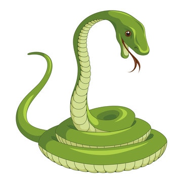 Snake 001