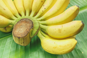ripe bananas on a banana leaf