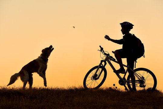 bisikletçinin köpeğe ekmek vermesi & iyilik ve duyarlılık