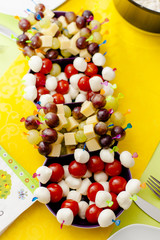 Tomato mozzarella cheese skewers