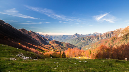 Autumn morning in the alps