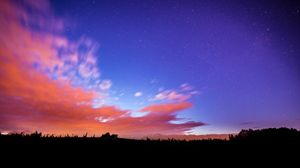 Fototapeta premium night in the fields