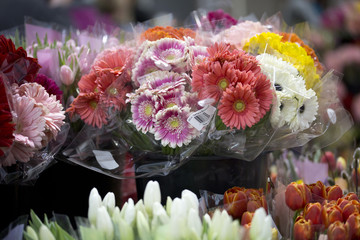 Bouquets of Gerbera Daisies