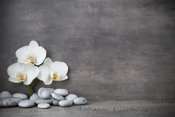 Fototapeta na wymiar White orchid and spa stones on the grey background.