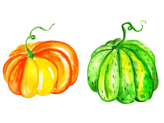 Тыква акварель