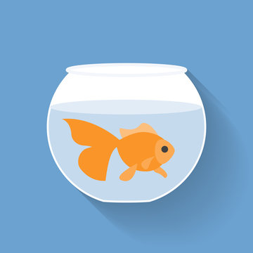 Gold Fish In Bowl