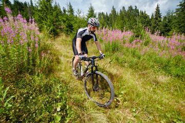 Fototapeta na wymiar Mountain biker on trails