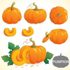 Set of pumpkin in various styles vector format