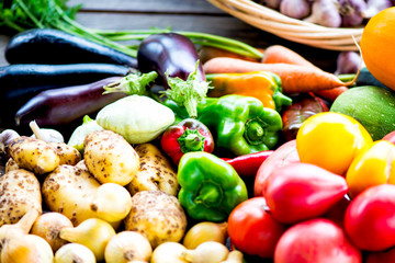 Fresh Organic Vegetables. Autumn Harvest Concept