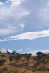 Naklejka premium Alqueva Alentejo 