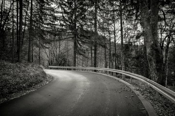 Obraz premium Road in autumn forest landscape