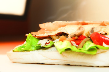 Sandwich 02