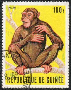 GUINEA - CIRCA 1969: