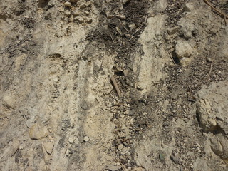 Sliding Dark sand in Desert