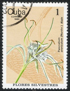 CUBA - CIRCA 1980: